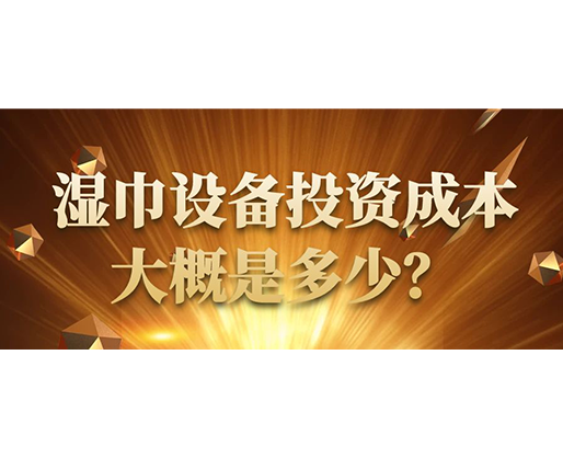 濕巾設(shè)備投資成本大概是多少？