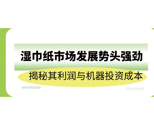 濕巾紙市場發(fā)展勢頭強(qiáng)勁，揭秘其利潤與機(jī)器投資成本