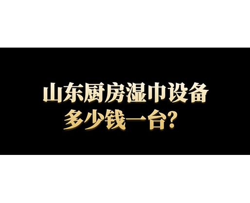 山東廚房濕巾設(shè)備多少錢一臺(tái)？